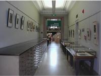 The Print and Picture Collection Hallway Gallery is located on the Second Floor of Parkway Central Library.